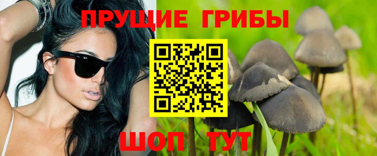 Псилоцибиновые грибы ЛСД Магнитогорск